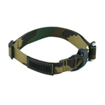 Dog Collar